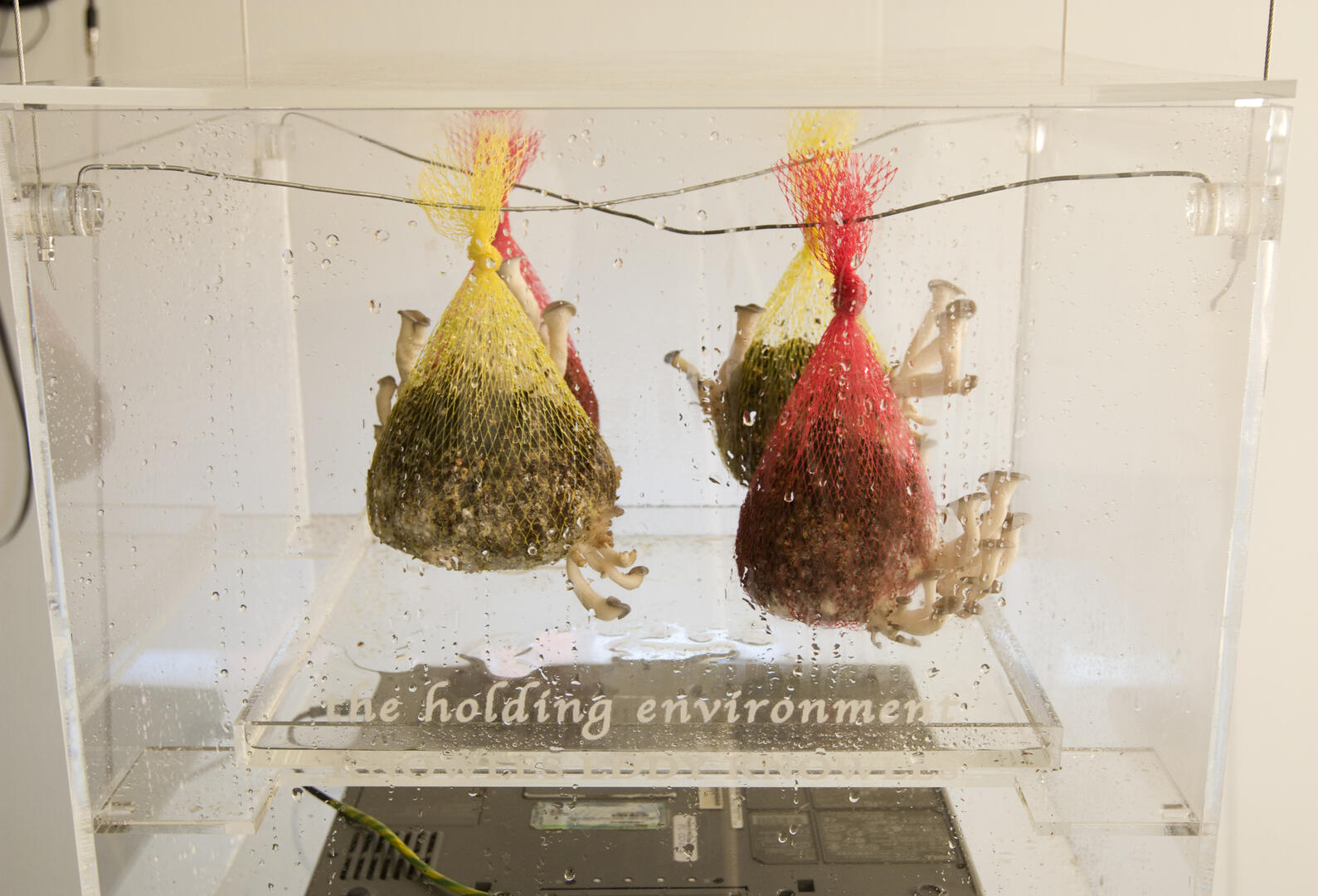AEF MONTREAL_HOLDING ENVIRONMENT(c)Knowles Eddy Knwoles.jpg