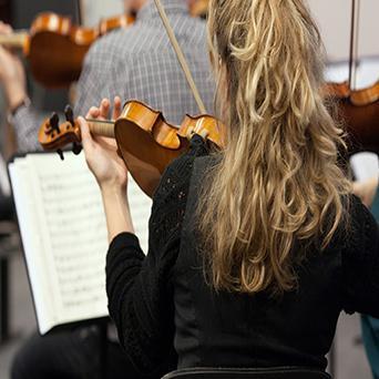 2015-02-06_violon-dos.jpg