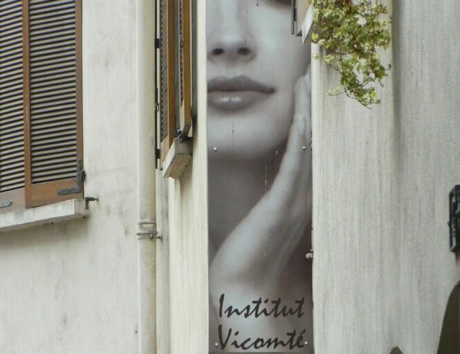 Institut Vicomte.jpg