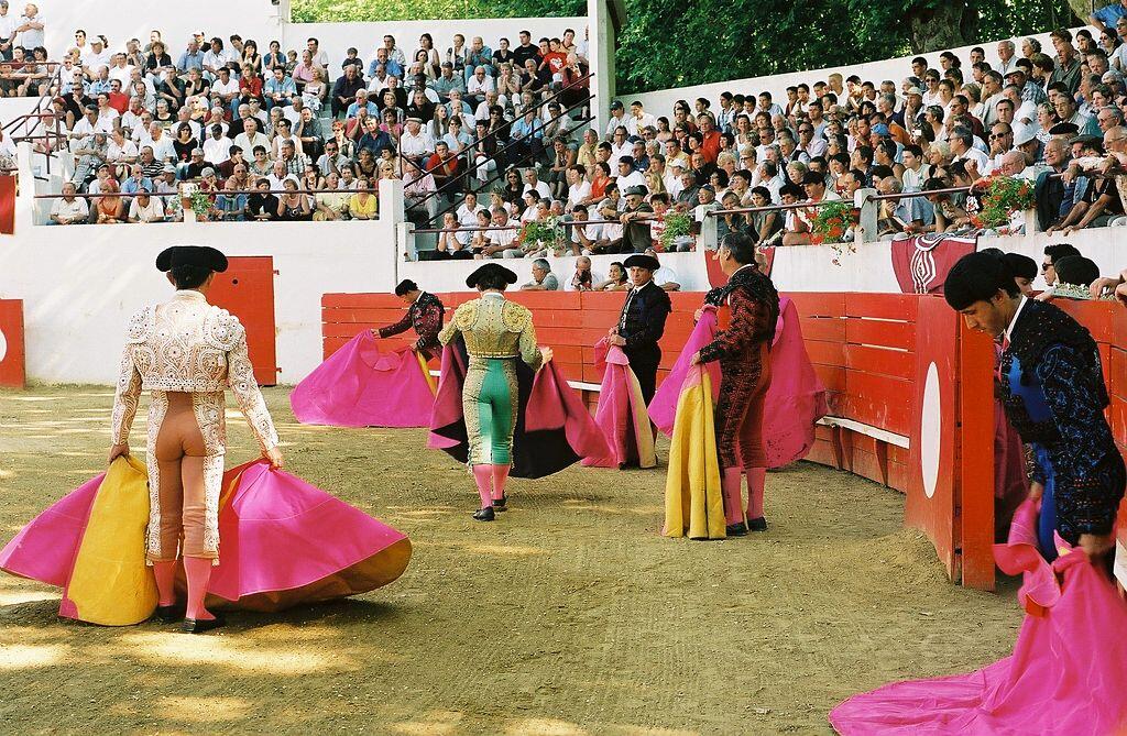 novillada