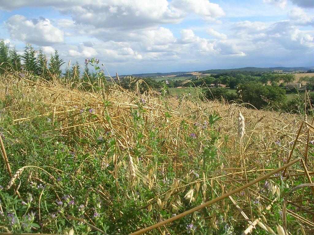 LA FERME DU MARMOT