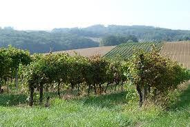 domaine de bilé