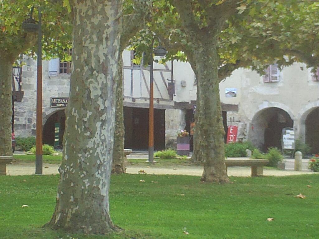 Pique-nique