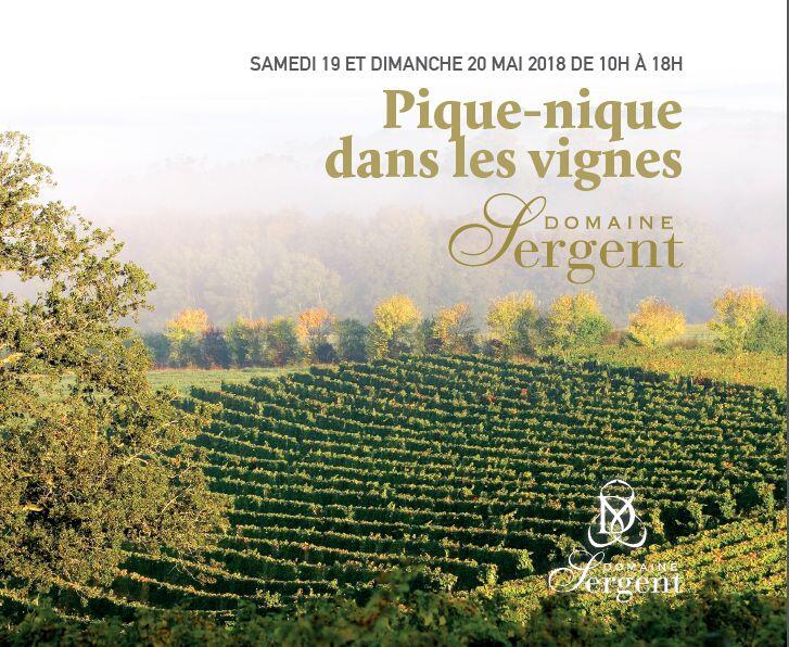 pique -nique dans les vignes