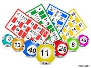 LOTO BINGO
