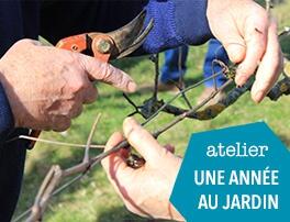 Jardin de l'artpiculture