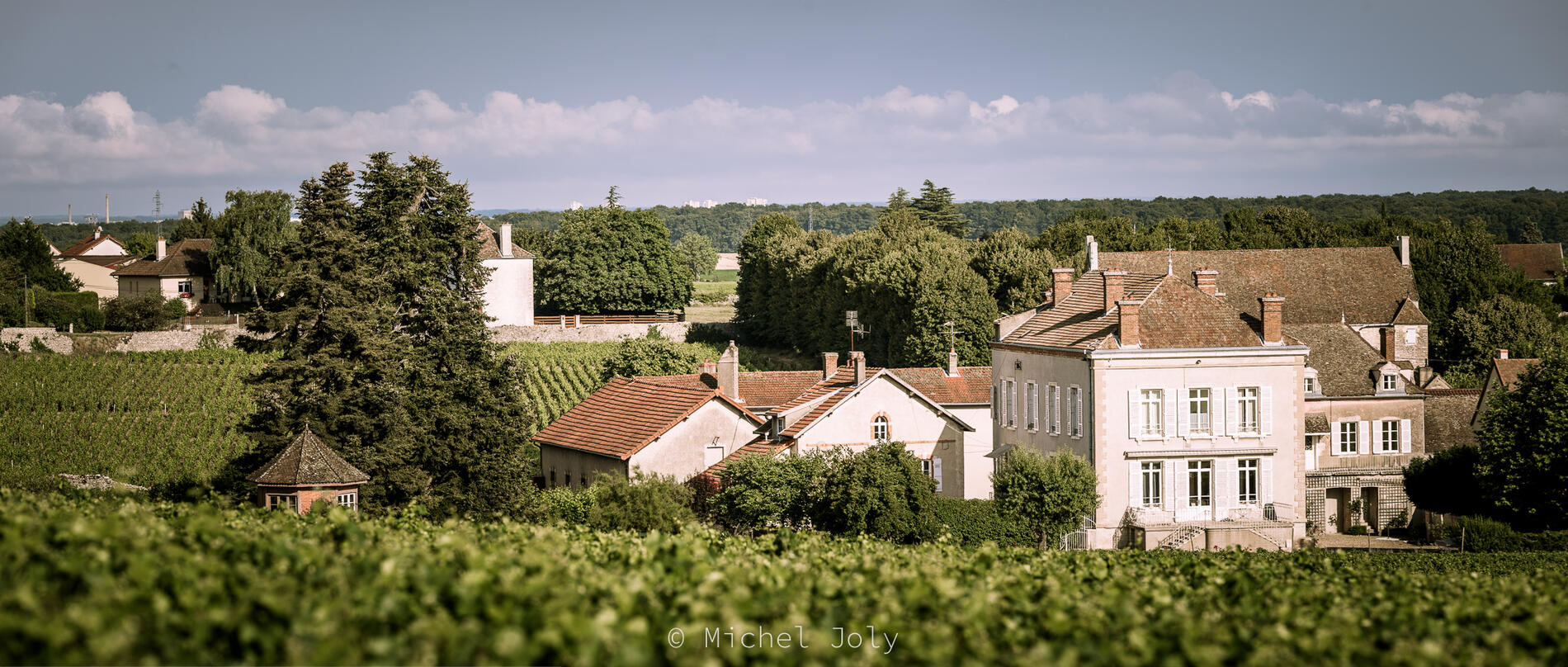 Mercurey - Domaine Jeannin Naltet - 2016 - 2