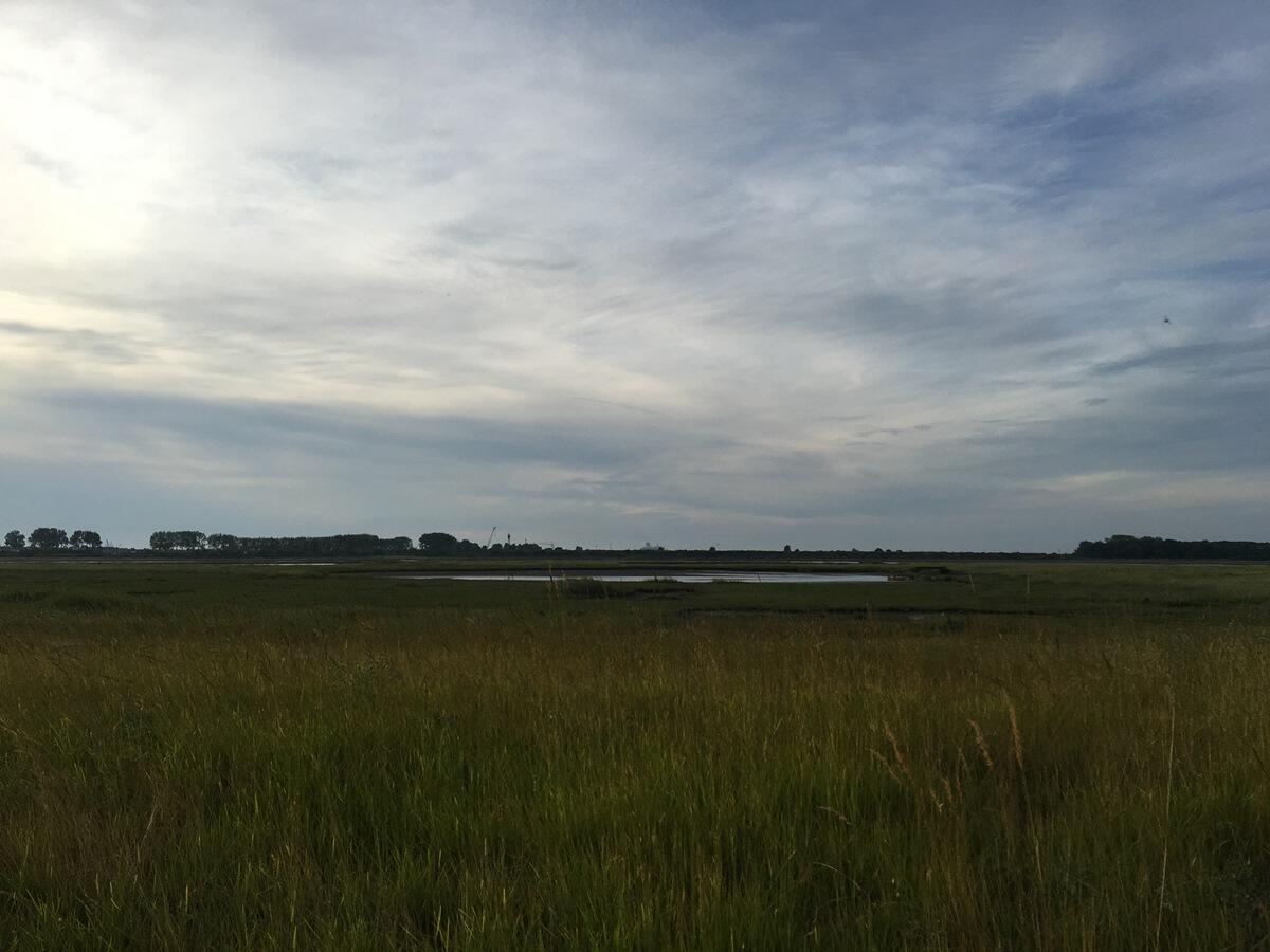 estuaire au crépuscule