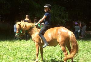 Campagne - Poney Club Arc en Ciel