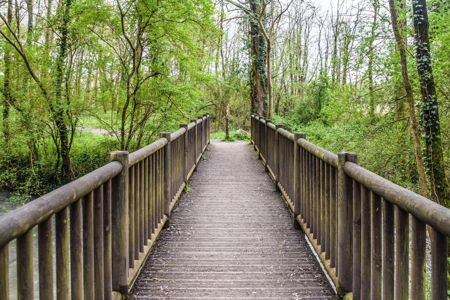 Passerelle-7