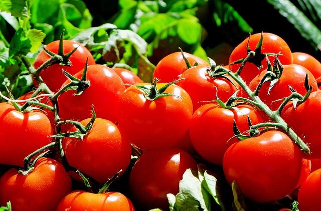 tomates-marche-2