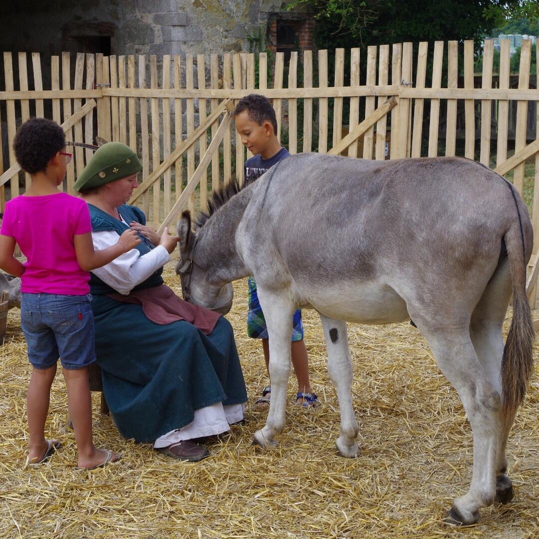 200815-saveurs-animalieres