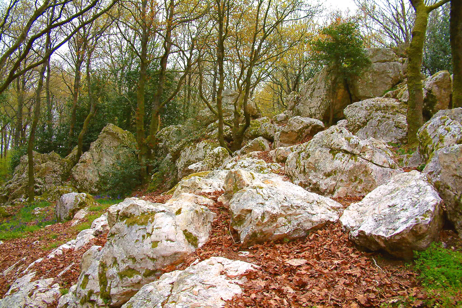 rochers de Pyrome - Photo Club Mauléonais.jpg_1