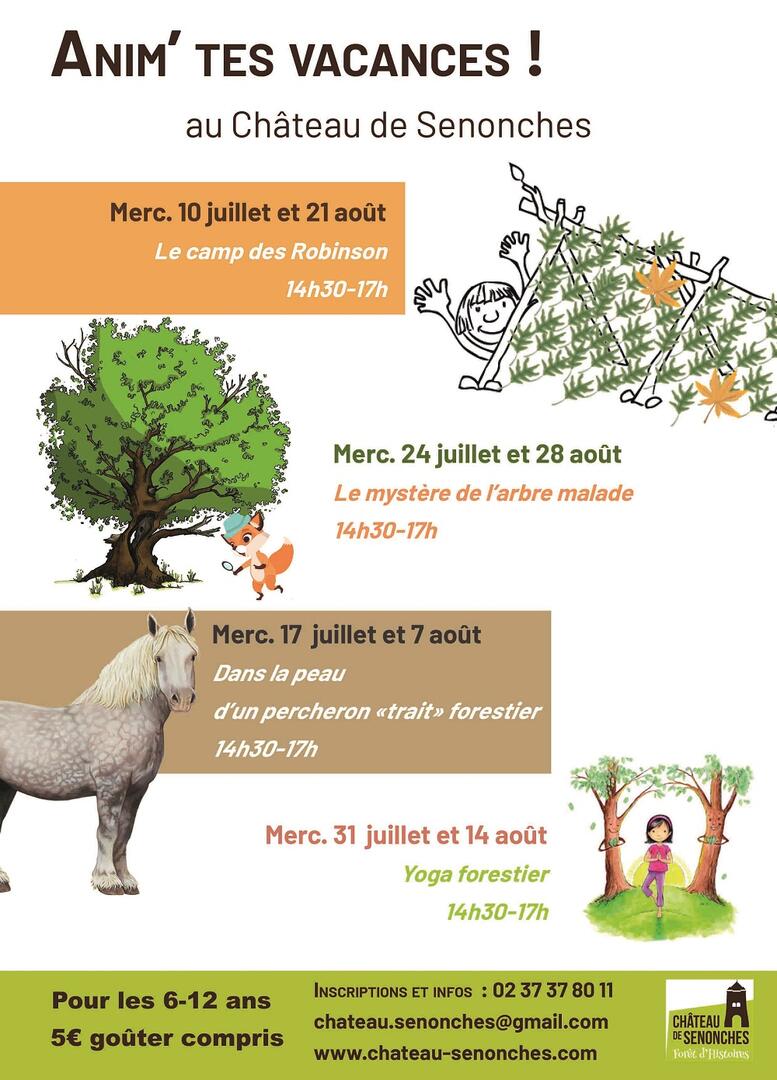 Anim--tes-vacances-d-ete-2019-2-5