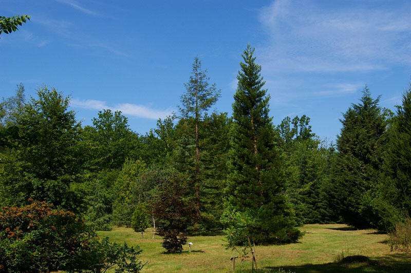 Arboretum de La Ferté Vidame