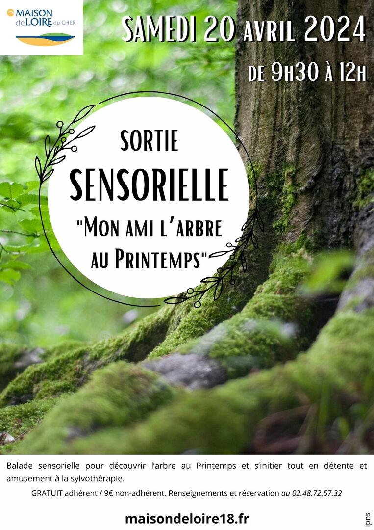 Arbre-4