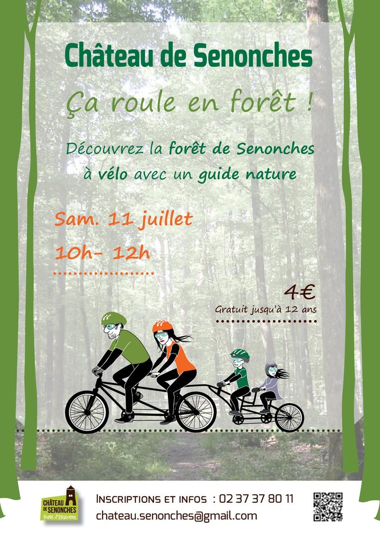 Ca roule en forêt !(2)