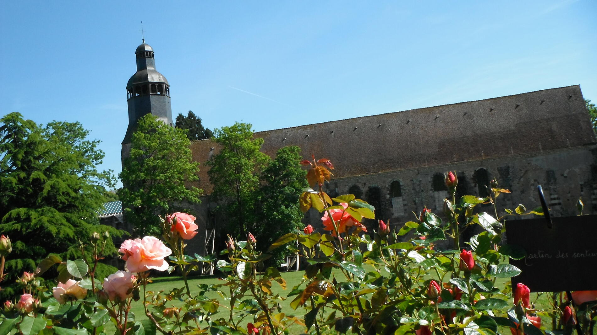 Abbaye de Thiron-Gardais