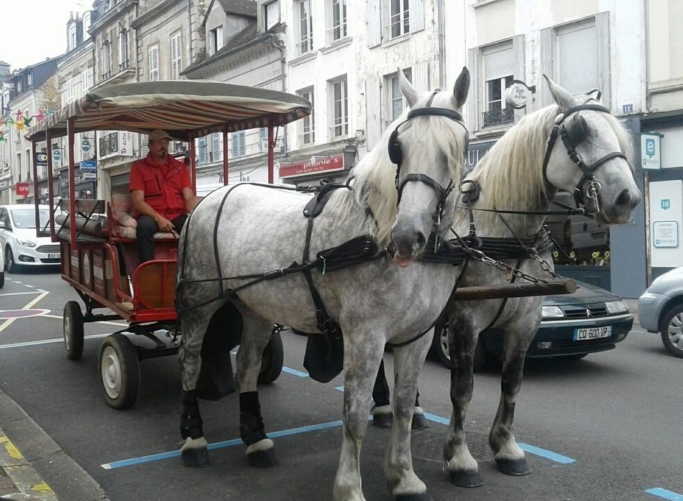 Ecurie d'Albe dans Nogent