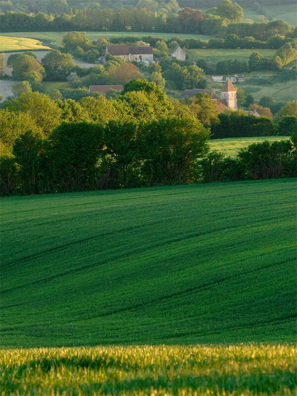 Sur les bords de la Ronne