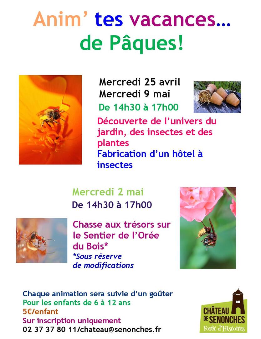 visuel anim tes vacances printemps v4-page-001
