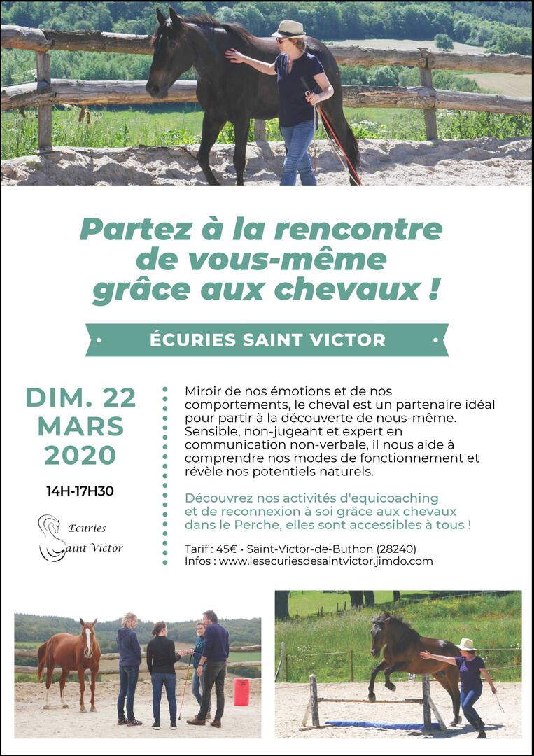 Affiche dév perso
