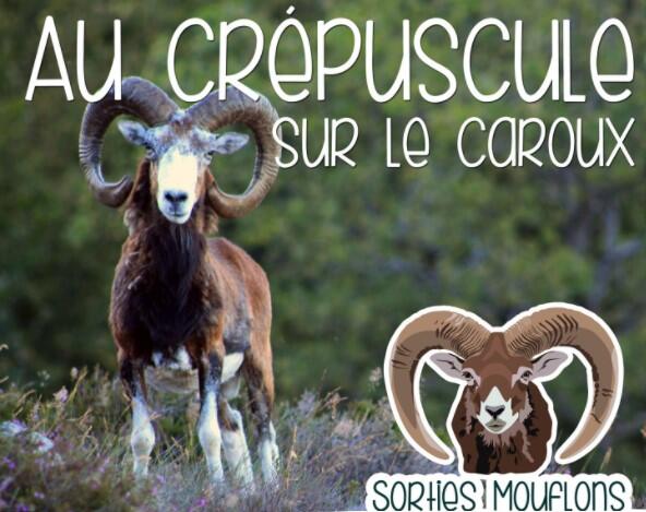 Au crepuscule sur le Caroux