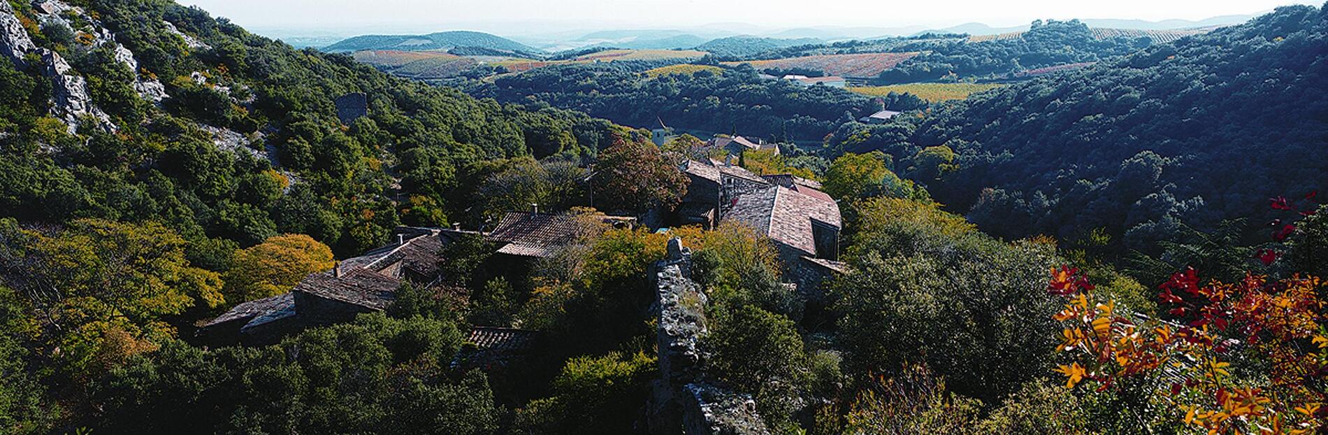 Cabrerolles-Pays-Luc-Micola