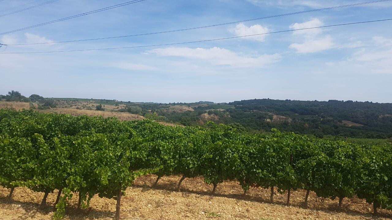 Domaine-Galtier-4-3