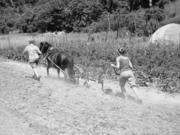 le-jardin-de-celine-article-vignette-full