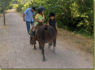 poney-4