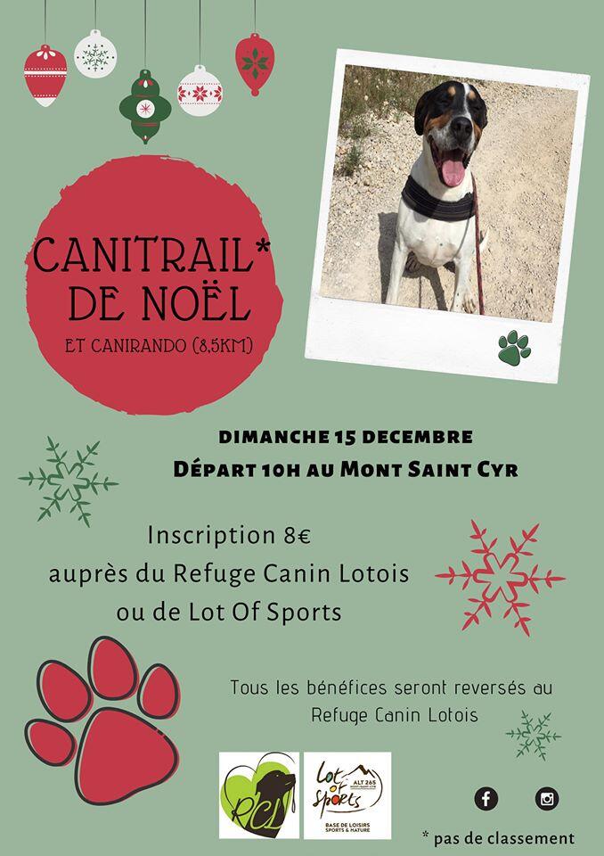cani trail
