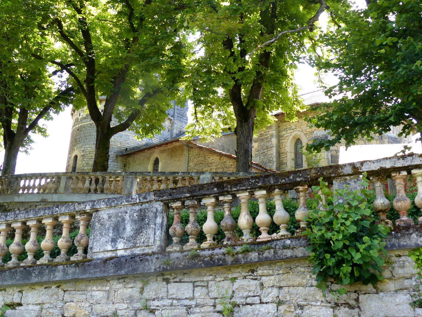 © Lisa Da Ascençao St-Médard (86)
