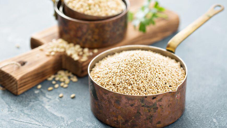 ''quinoa'' -c-fahrwasser