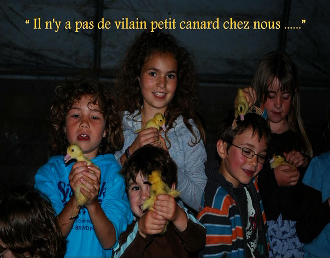 190215FermeDesCazalous_Puyjourdes1
