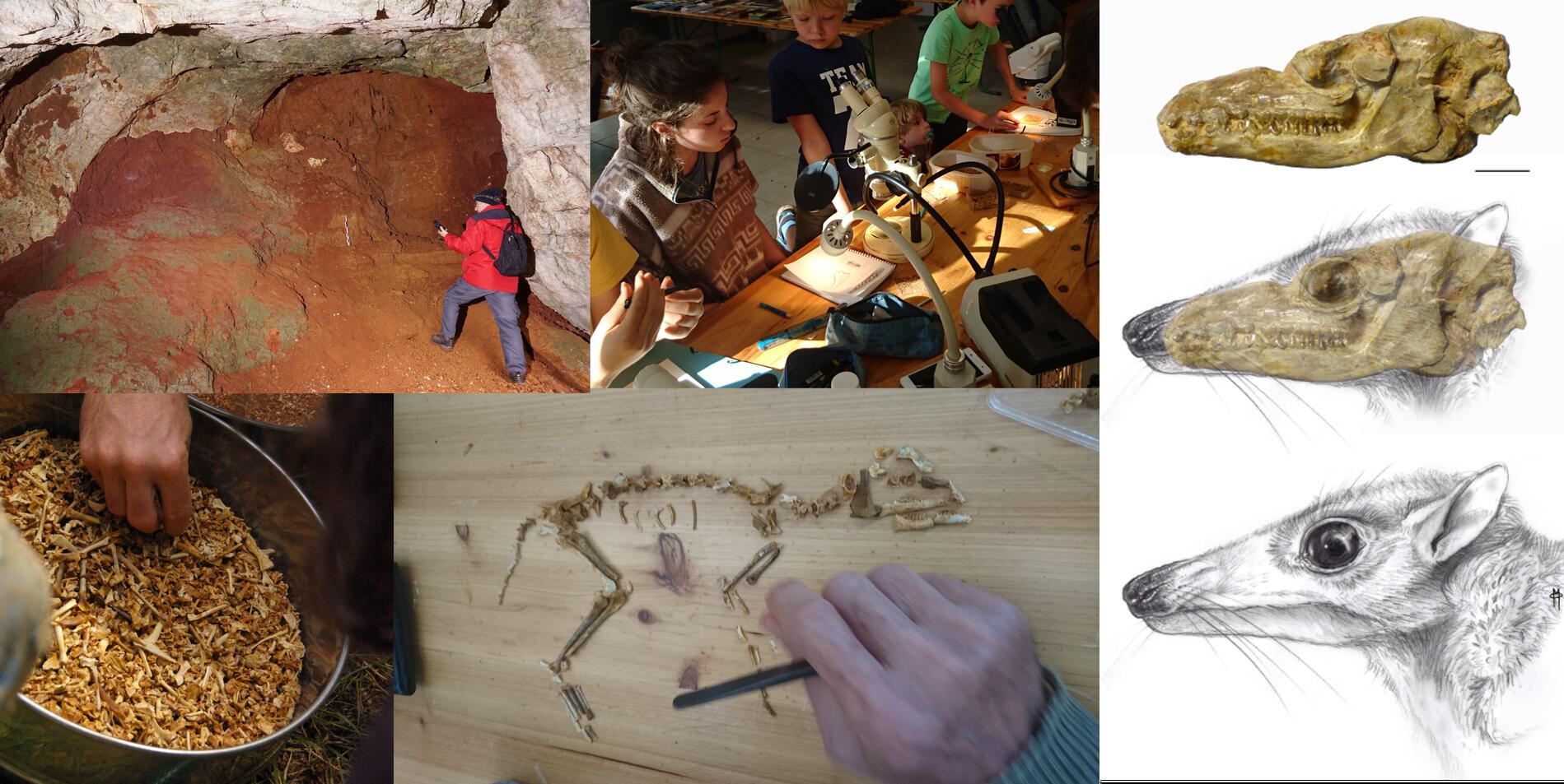 20juillet_safariPaleontologique_T.Pelissie