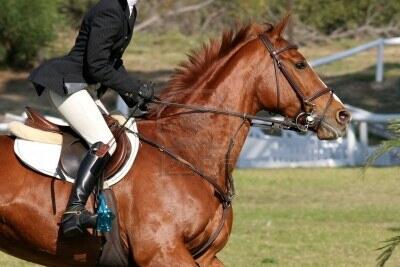 cheval