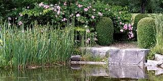 ANCIEN JARDIN DU COUVENT MEYRONNE