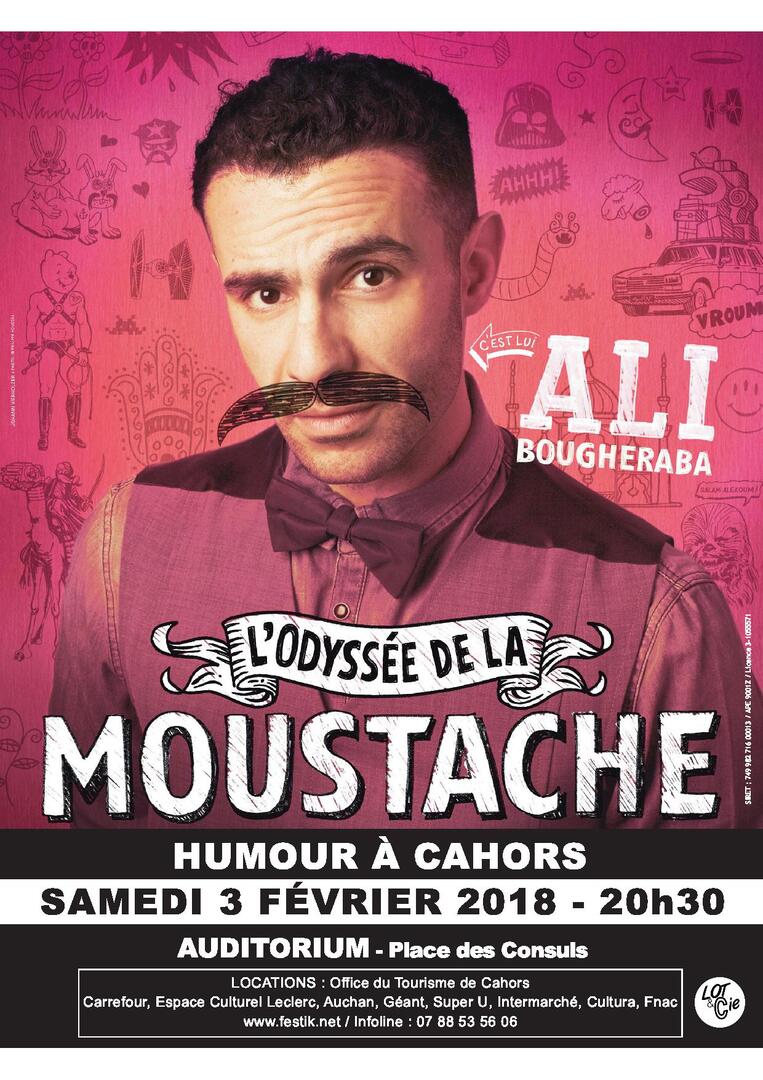 Affiche A3 ALI_