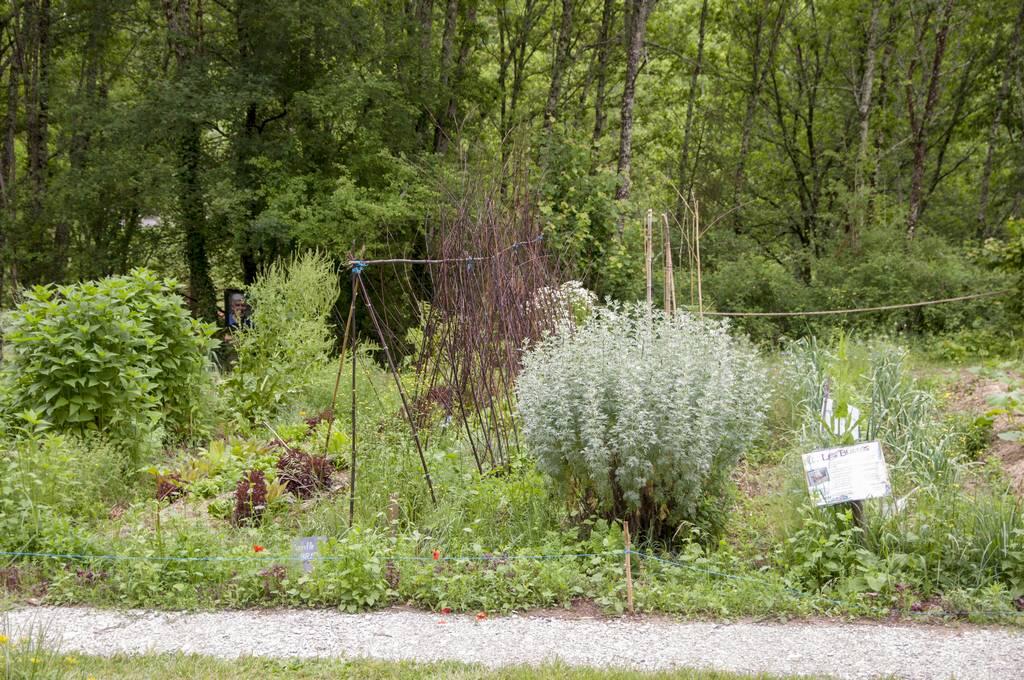 Allees-ouvertes-Jardin-Bourian