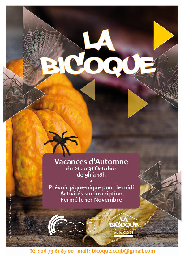 Bicoque - Affiche automne 2019