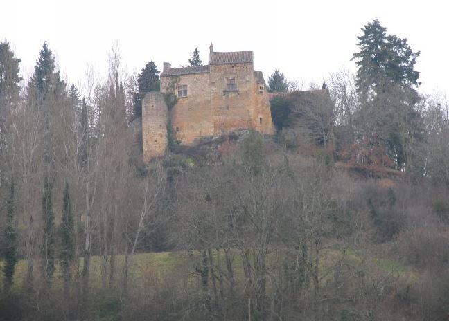 Chateau-du-Theron©Michel Salaün