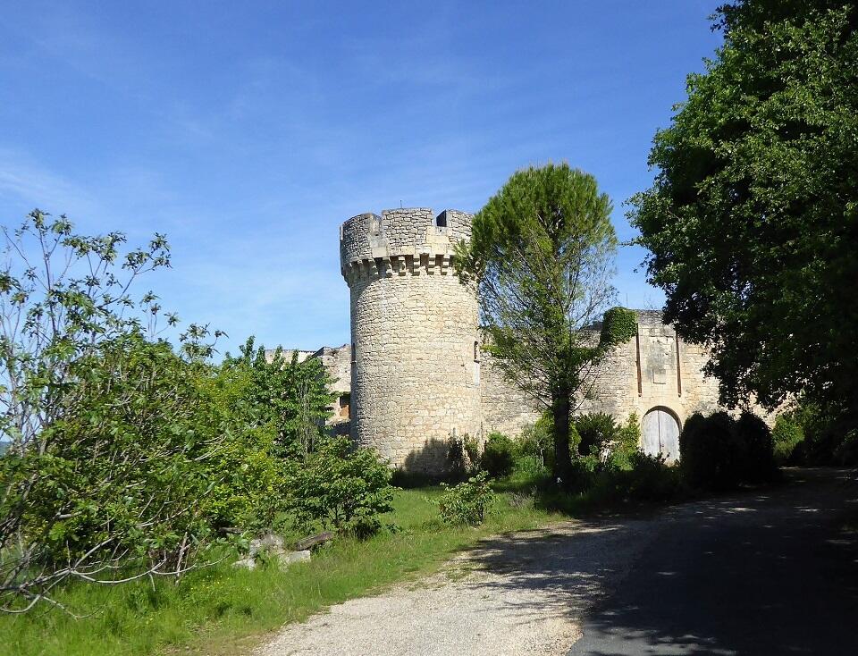 Chateau de la Coste (2) - balade 10 juillet©Primula