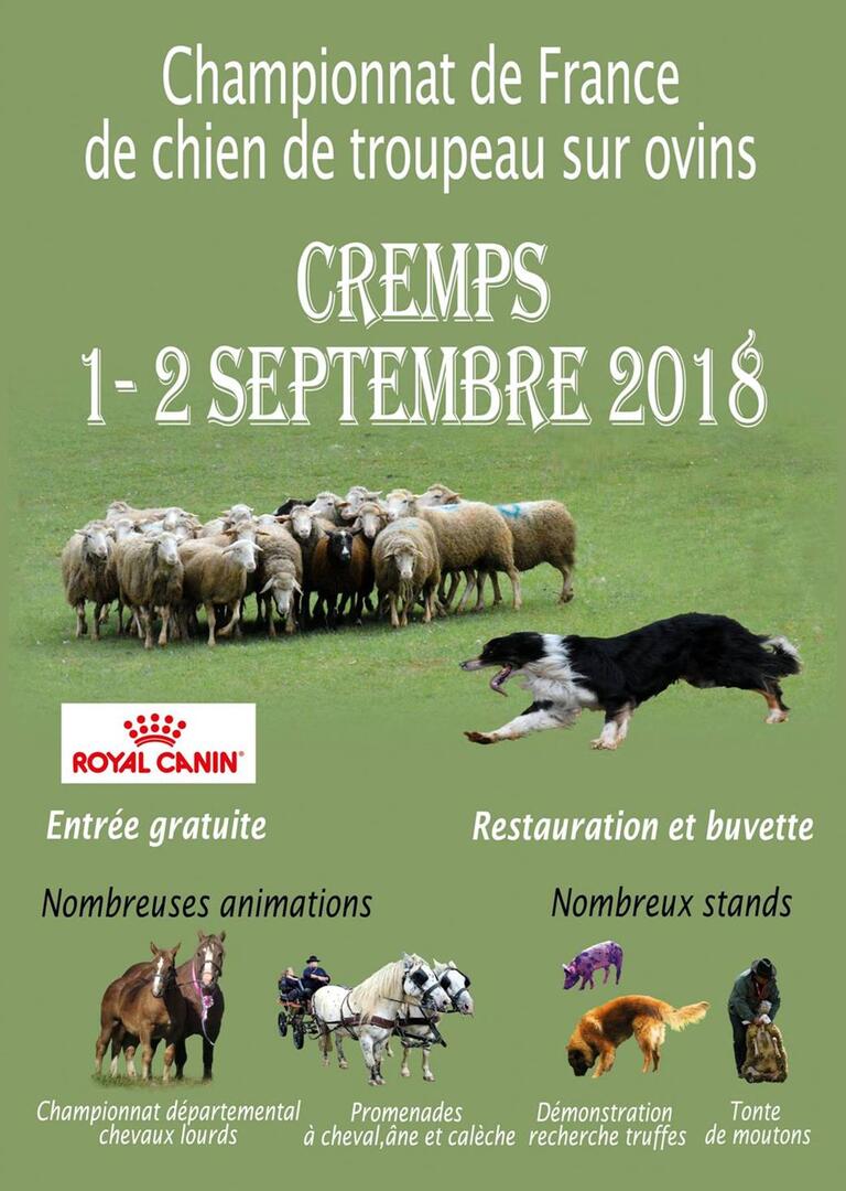 Championnat