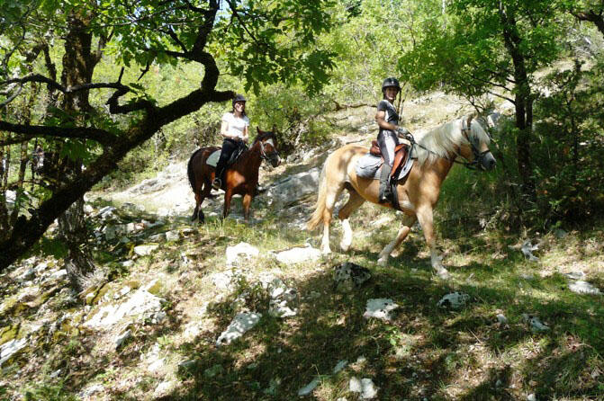 Ferme équestre Cheval Rando - Creysse