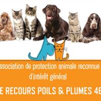 Le Recours Poils et Plumes 46
