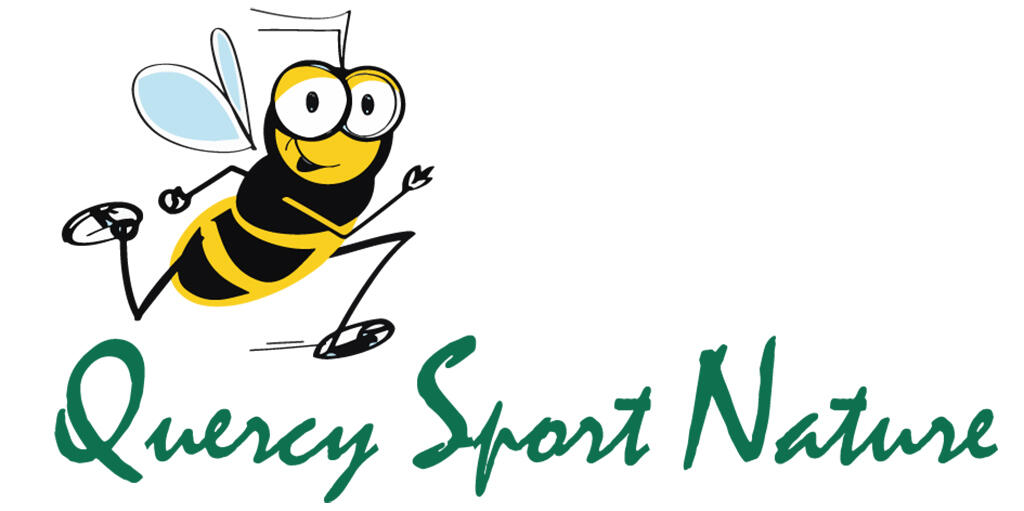 Logo QSN Abeille Meltonic couleur