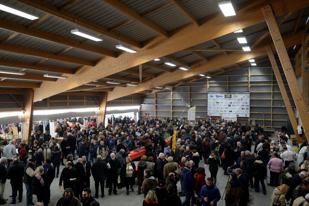 Marché aux truffes de Cuzance © Lot Tourisme - M. Taburet