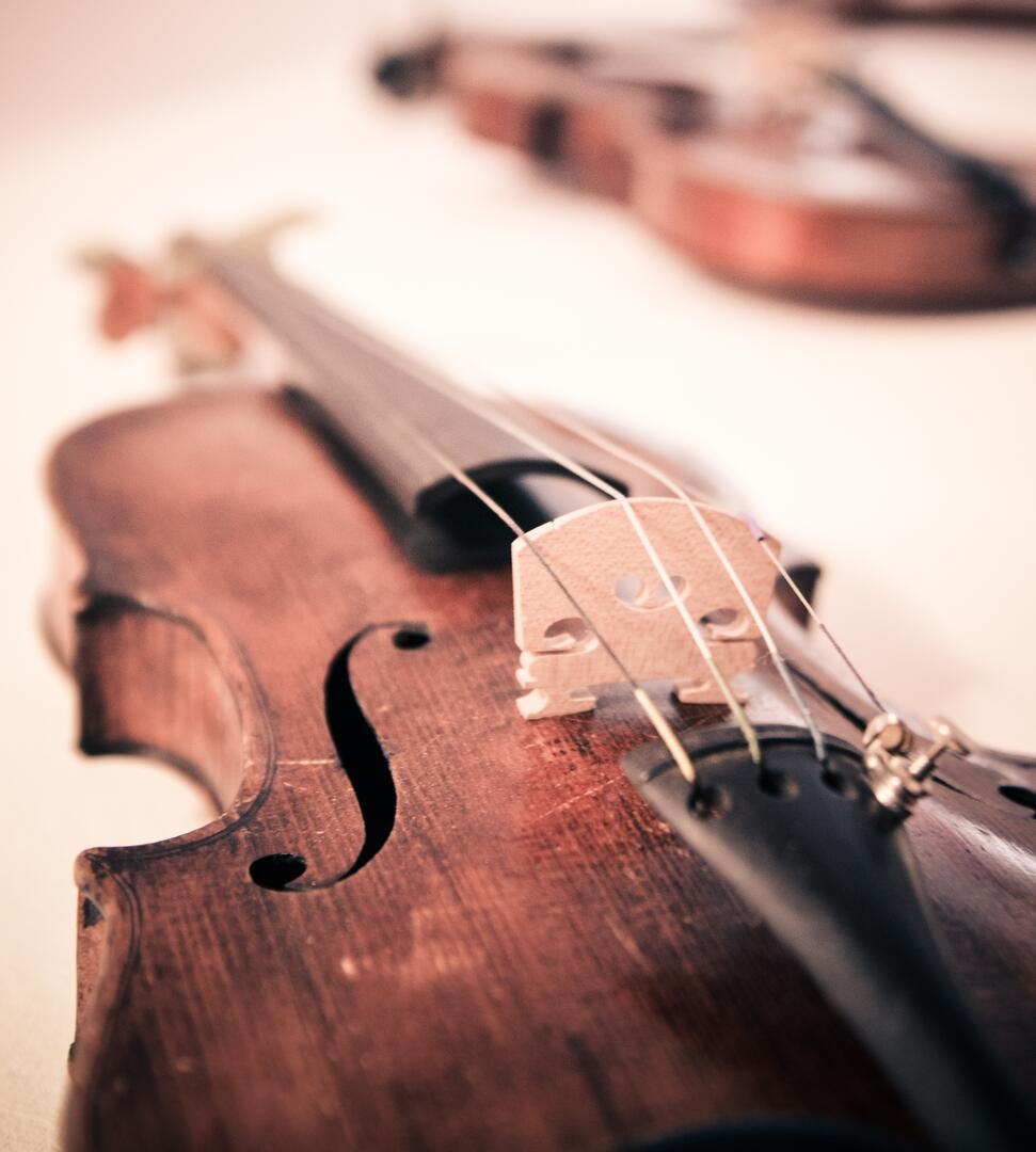 Violons