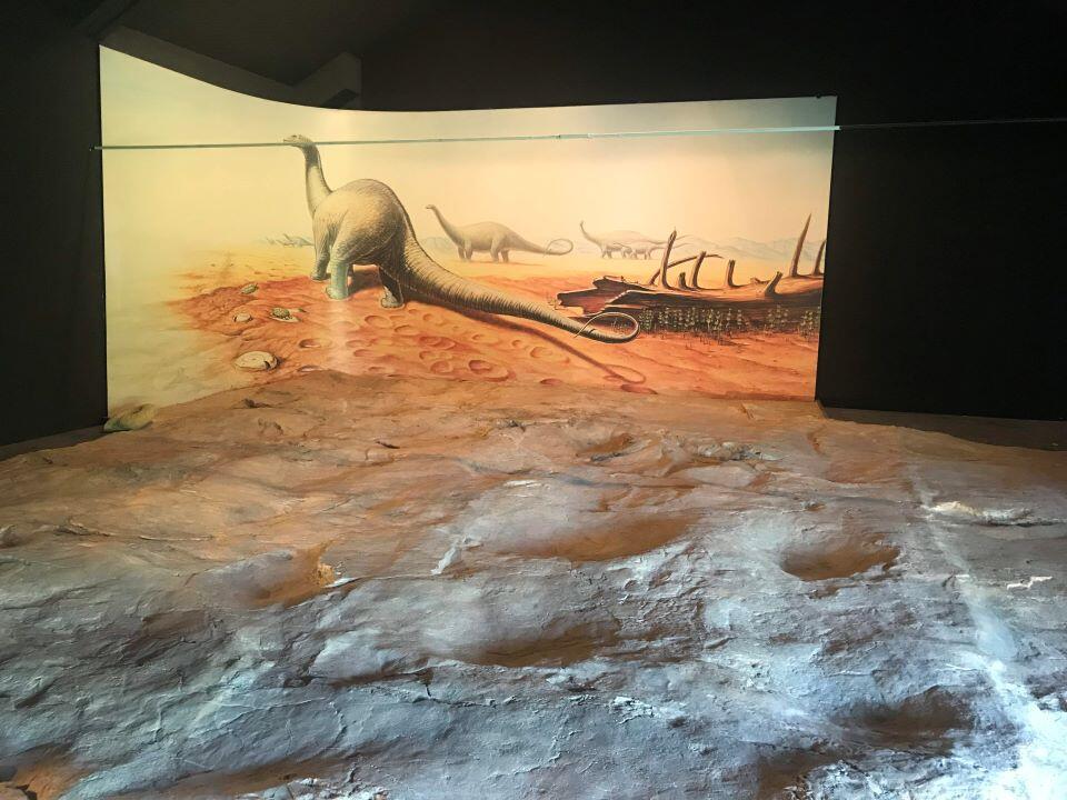 Visite des musées de Luzech - © Office de Tourisme Lot - Vignoble (3)